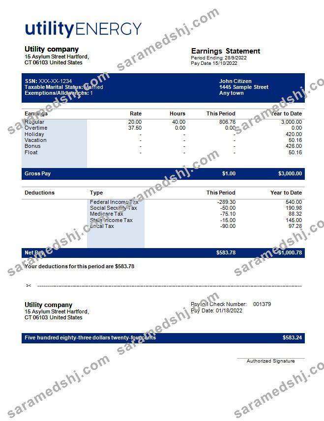utility company payslip template in Word and PDF formats.